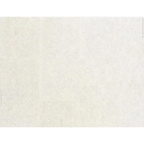 Wicanders SLATE ARCTIC 